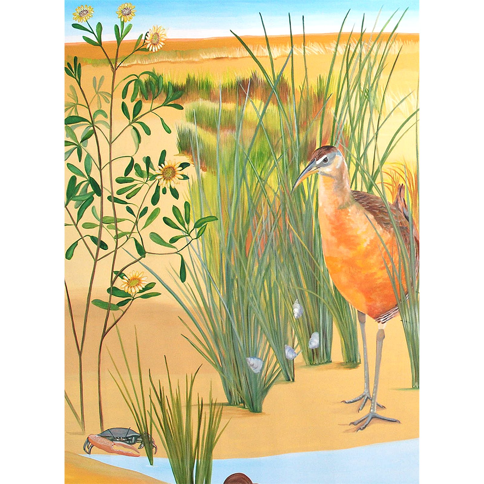 Artwork by Gina Mikel: Sea Oxeye Daisy - Saltwater Mural, Borrichia frutescens