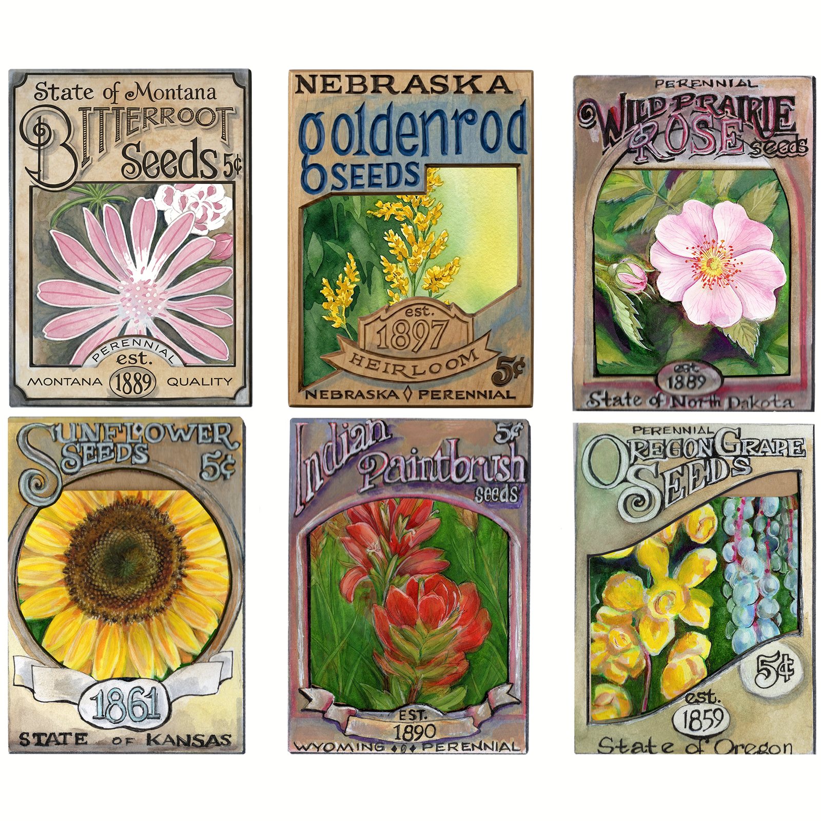 Artwork by Gina Mikel: Seed Packet Wildflowers, Angiospermae