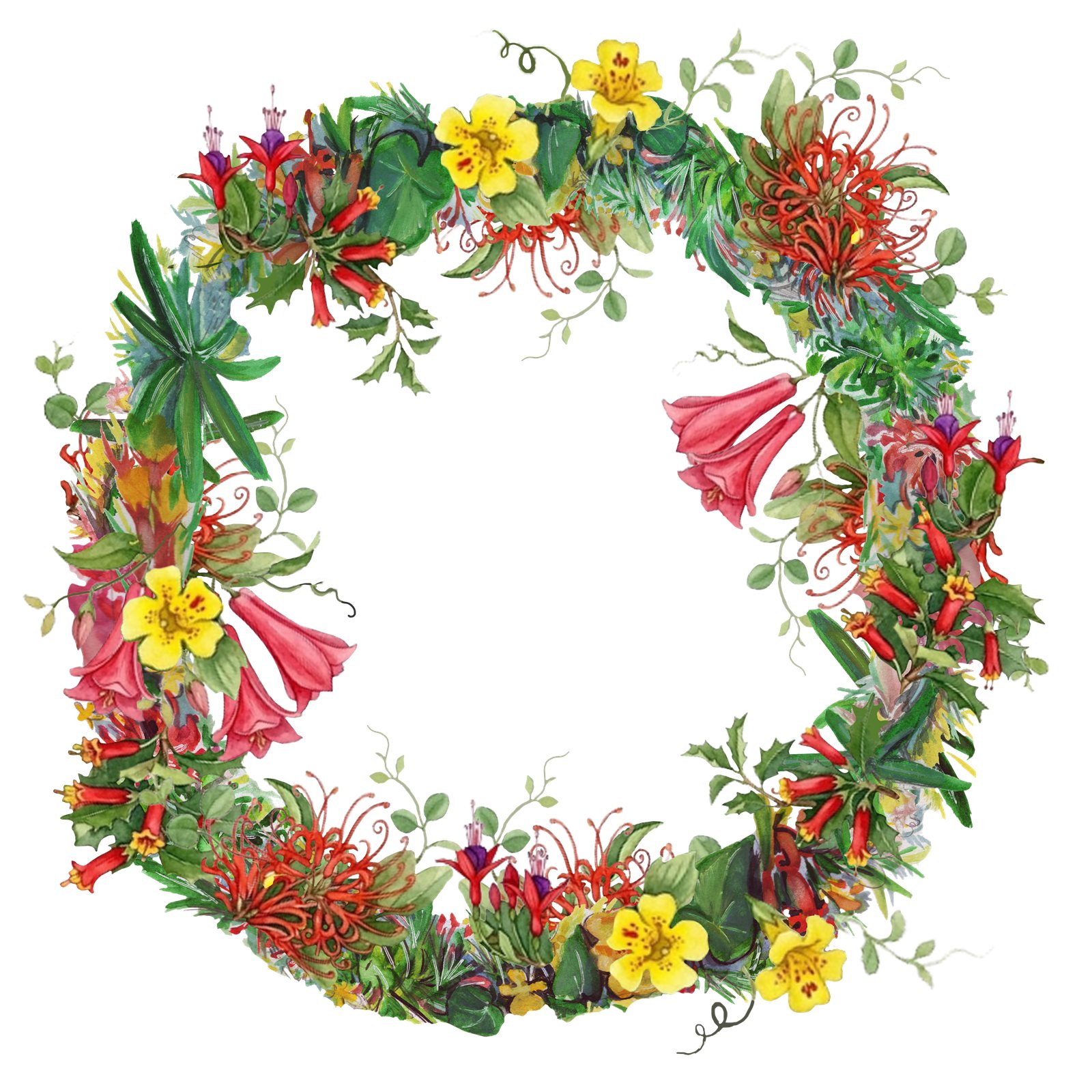 Artwork by Gina Mikel: South American Flowers - Lei, Angiospermae
