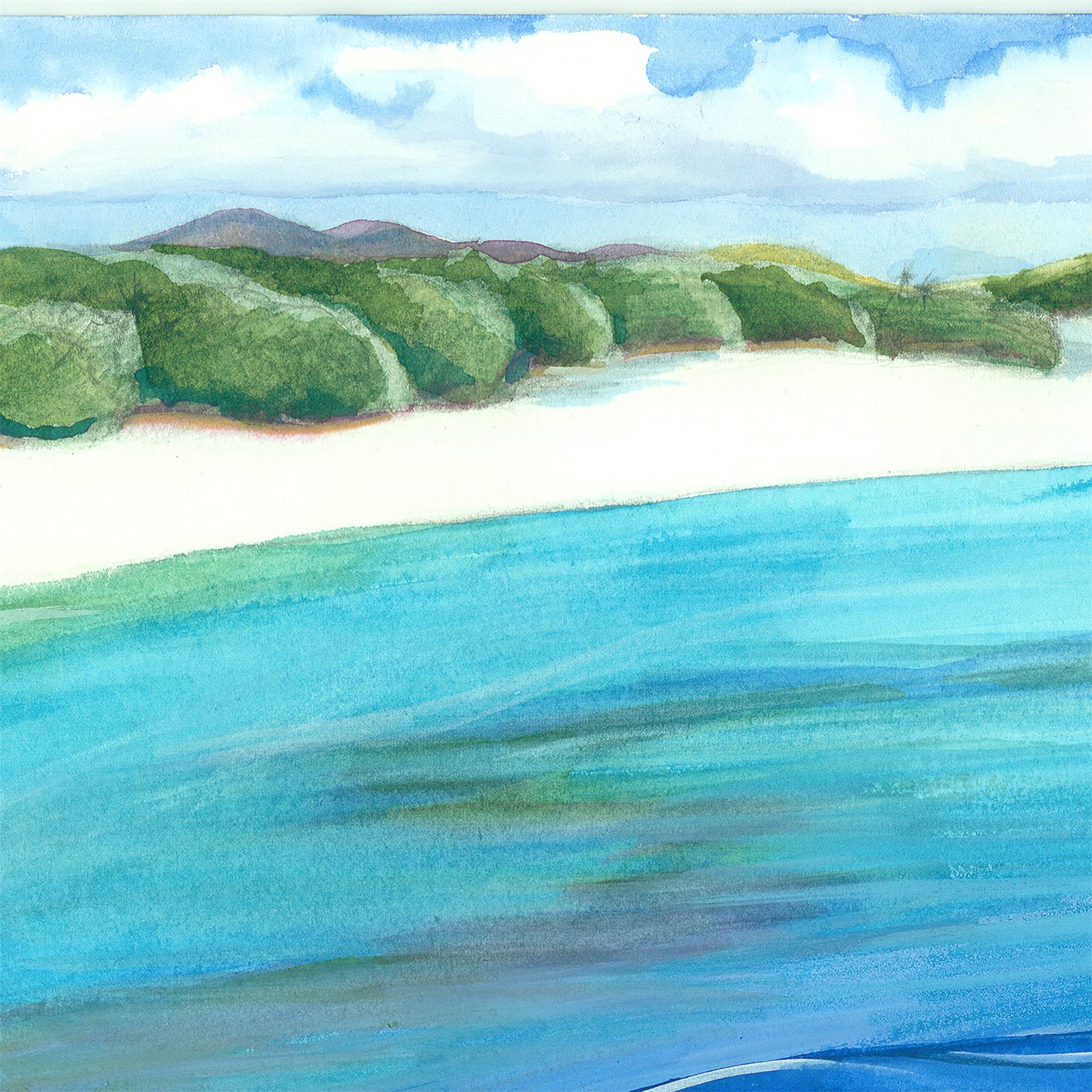 Artwork by Gina Mikel: Turtle Grass - Coral Reef, Thalassia testudinum