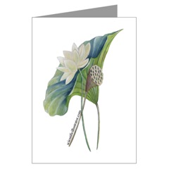 American Lotus Note Cards
