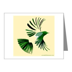 Bird in Flight Note Cards