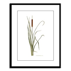 Cattails Framed Print