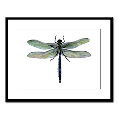 Dragonfly Framed Print