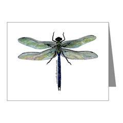 Dragonfly Note Cards