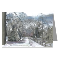 Snowy Street in Winter Greeting Cards