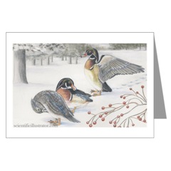 Wood Ducks in Snow Greeting Cards