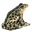 leopard-frog