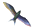 tern
