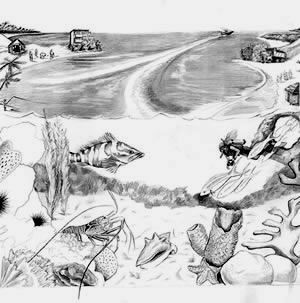 coral reef drawing