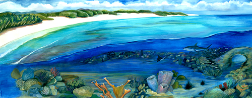 coral reef