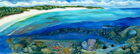 coral reef