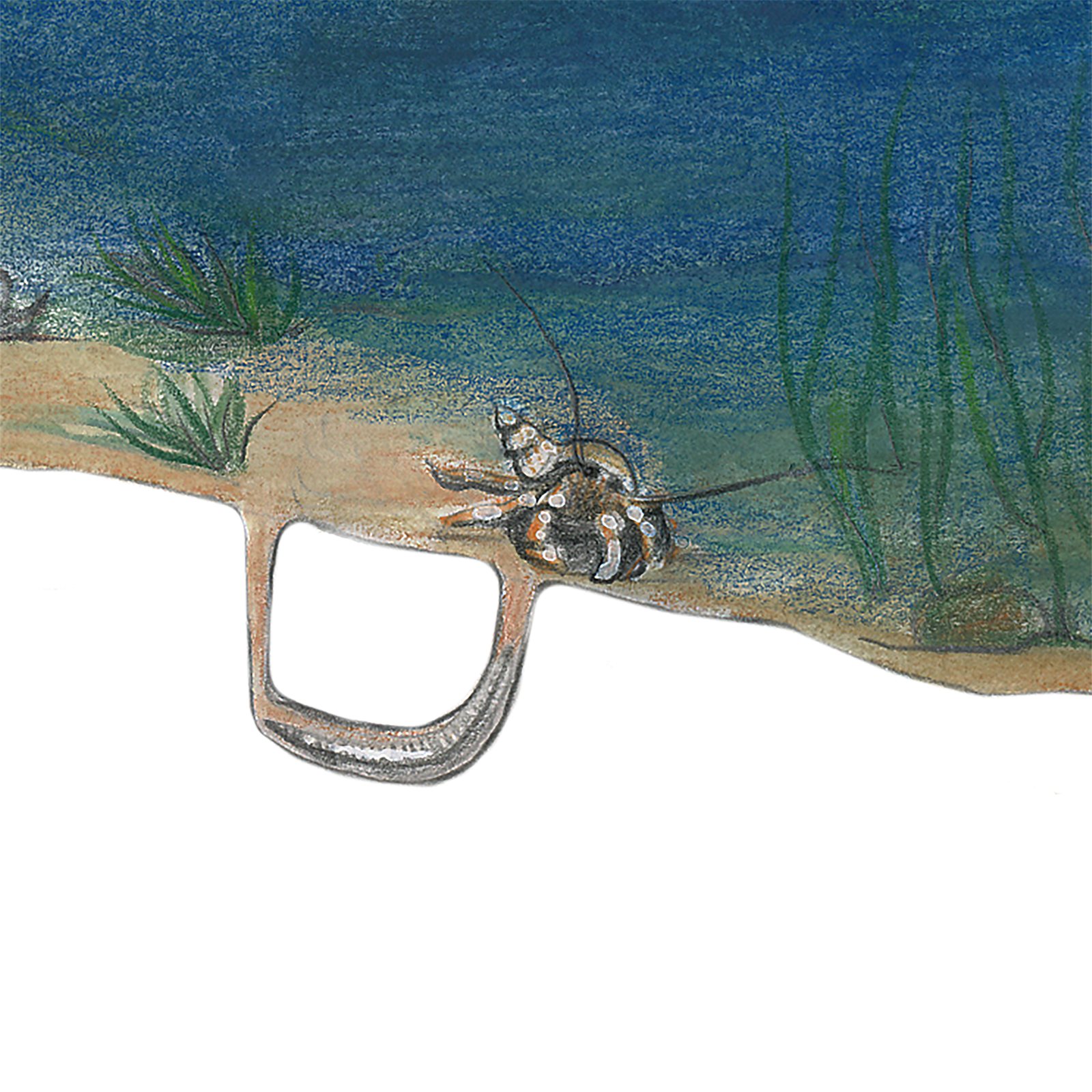 Artwork by Gina Mikel: Crab - Hermit - Brooklyn Intertidal, Pagurus longicarpus