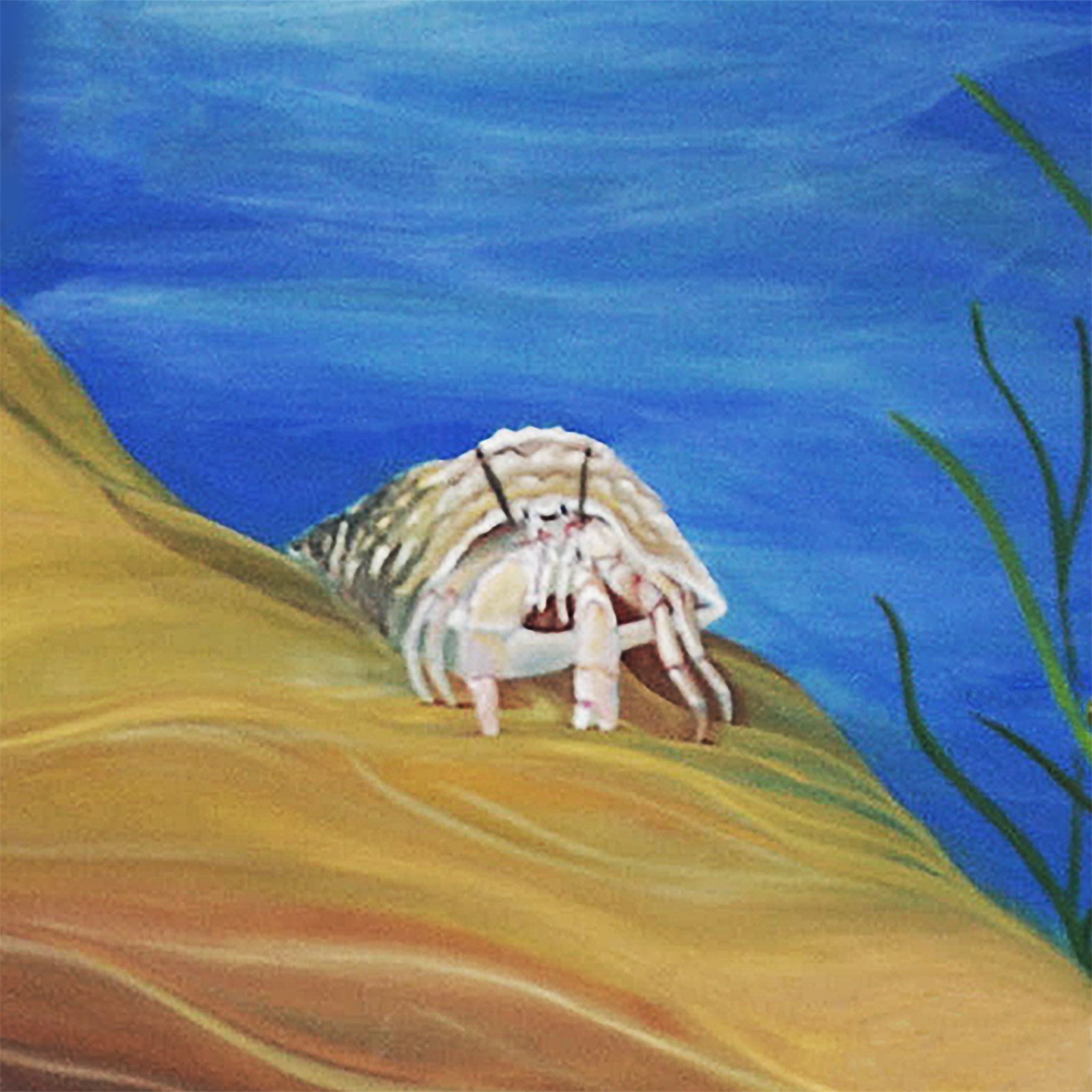 Artwork by Gina Mikel: Crab - Hermit - Striped - Saltwater Mural, Clibanarius vittatus