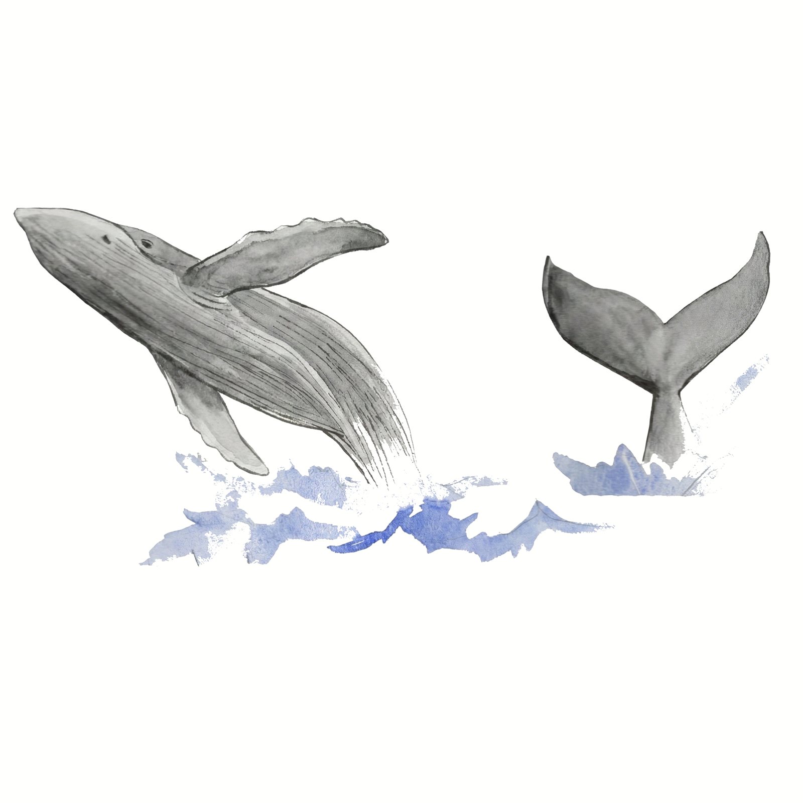 Artwork by Gina Mikel: Humpback Whales, Megaptera novaeangliae