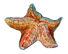 starfish