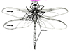 dragonfly anatomy
