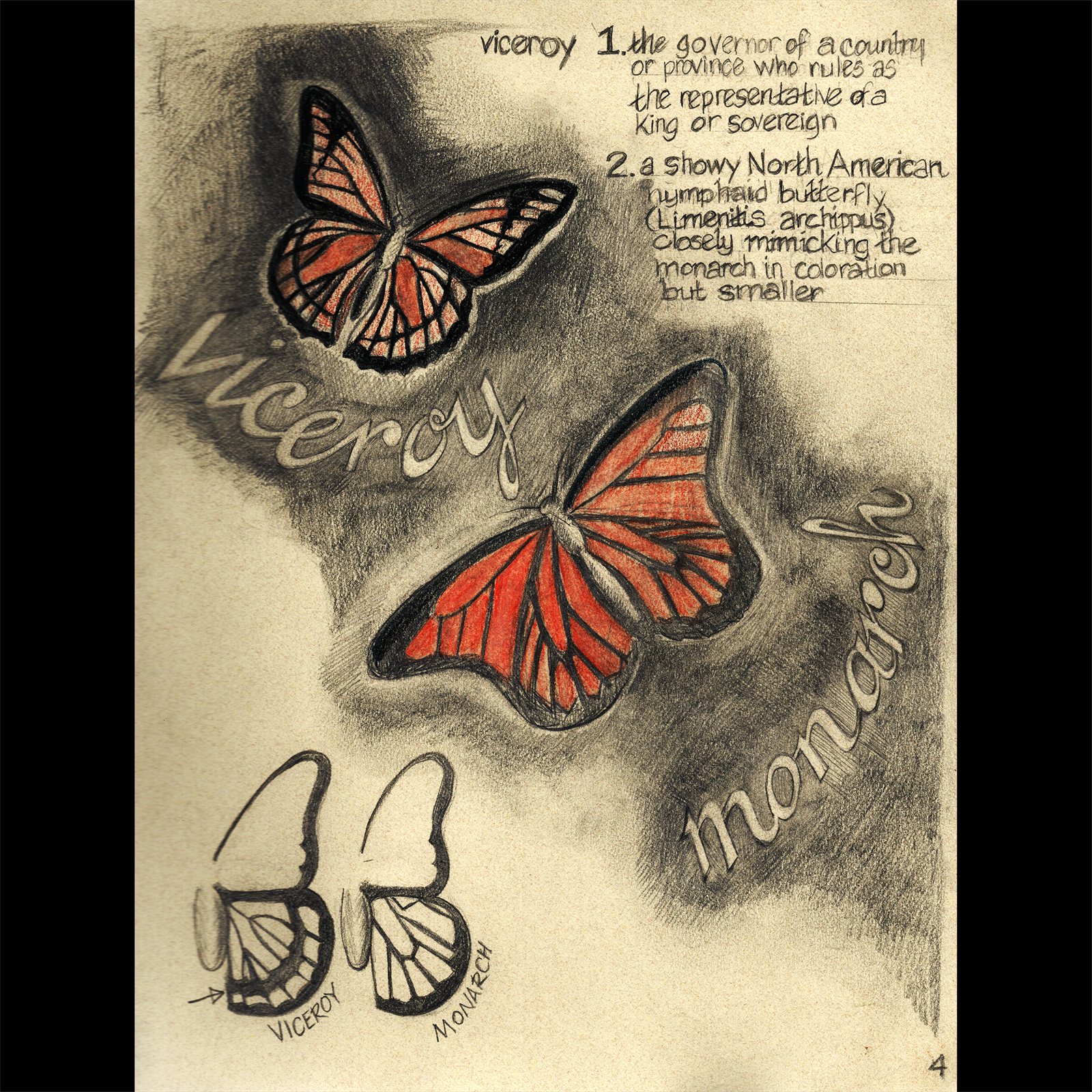Artwork by Gina Mikel: Viceroy & Monarch, Danaus plexippus and Limenitis archippus