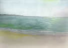 Honeymoon Island, Florida