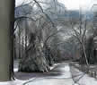 ice storm