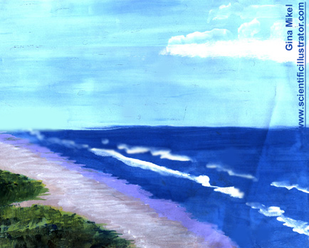 South Padre Island Texas