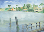 tampa bay