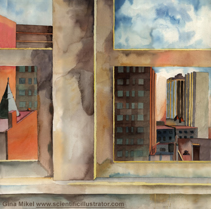 Window, view