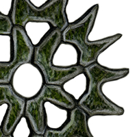 pediastrum