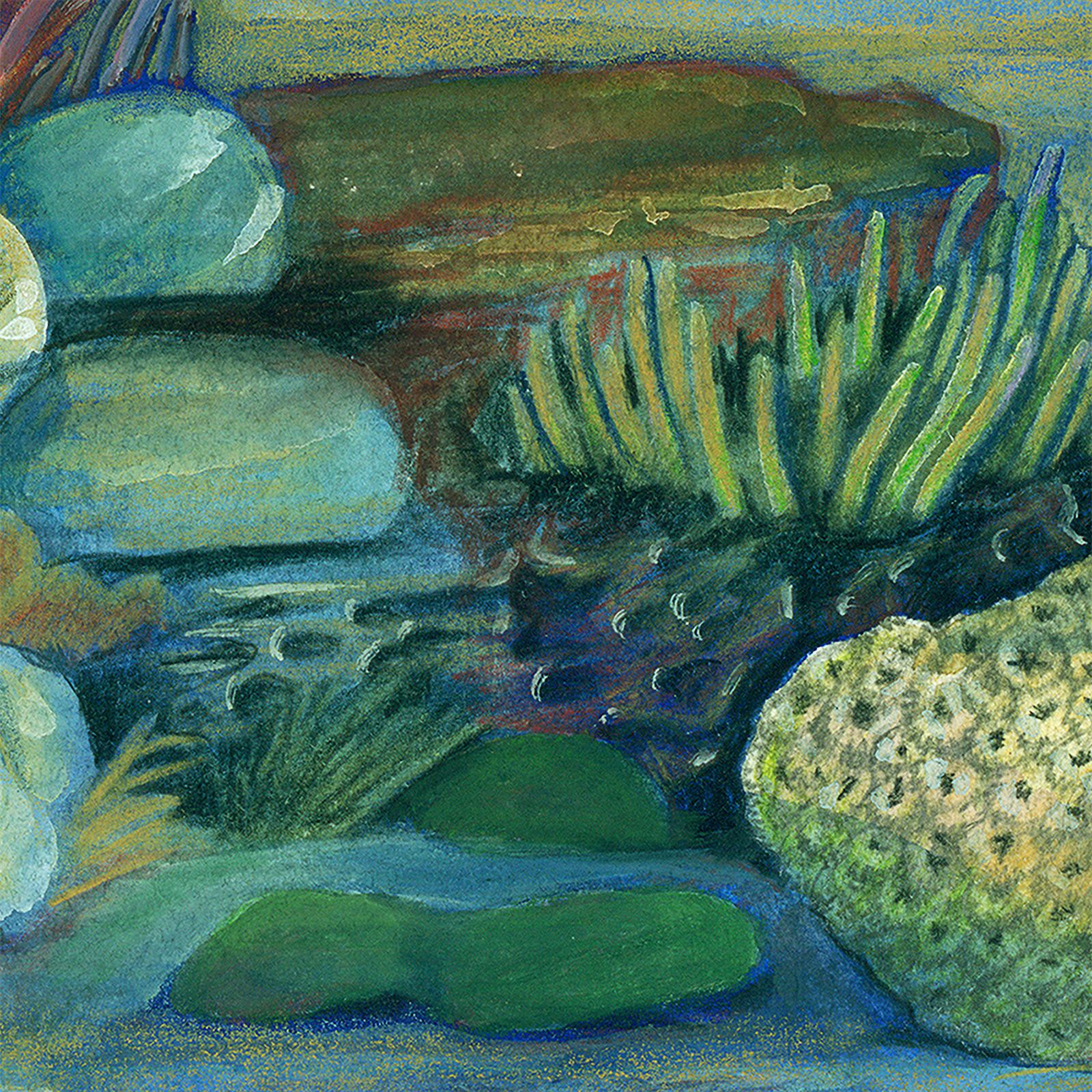 Artwork by Gina Mikel: Prickly Halimeda, Halimeda opuntia