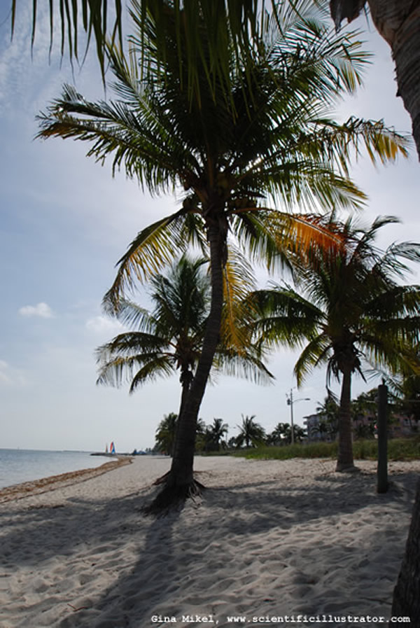 Key West, Florida