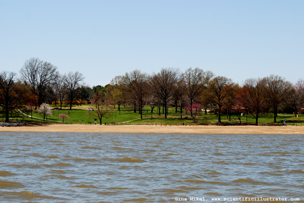 Lake Carlisle, Illinois