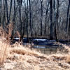 Lake Carlisle, Illinois