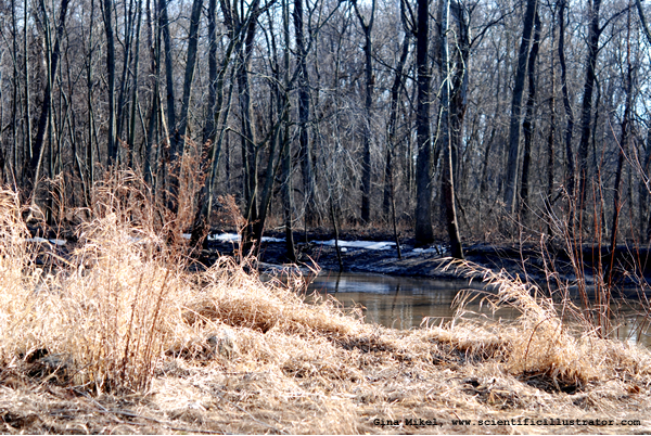 Lake Carlisle, Illinois