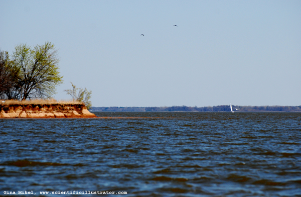 Lake Carlisle, Illinois