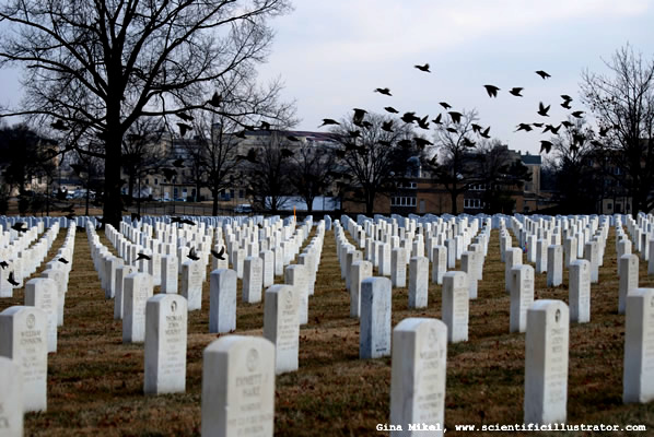 Jefferson Barracks