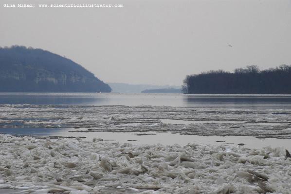 Mississippi River, Alton, Illinois