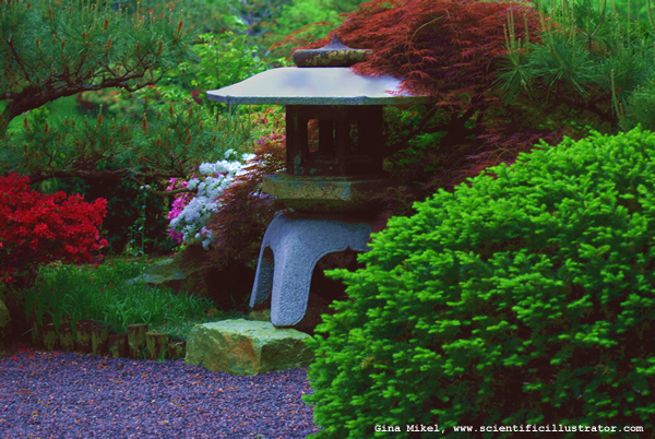 Missouri Botanical Gardens