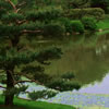Missouri Botanical Gardens