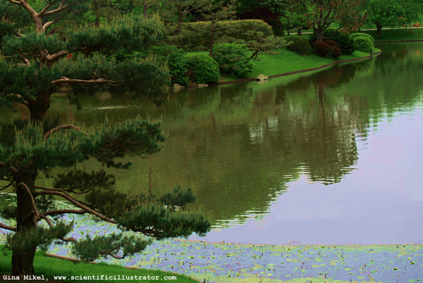 Missouri Botanical Gardens