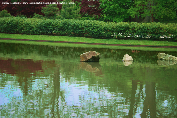 Missouri Botanical Gardens