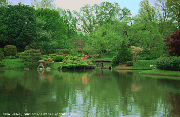 Missouri Botanical Gardens