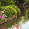 Missouri Botanical Gardens