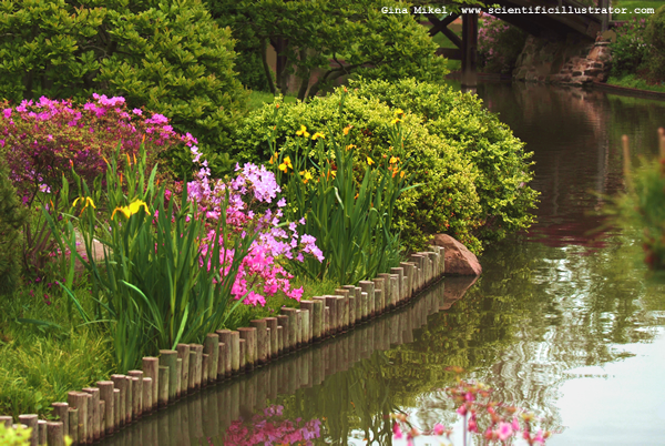 Missouri Botanical Gardens