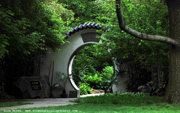 Missouri Botanical Gardens