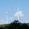 Wind Turbines, West Texas