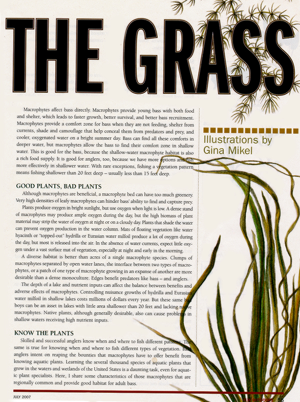FLW Outdoors Magazine