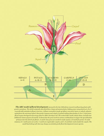 Science News Magazine