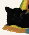 cat