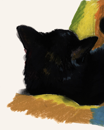 cat