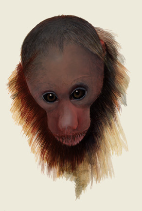 cacajao